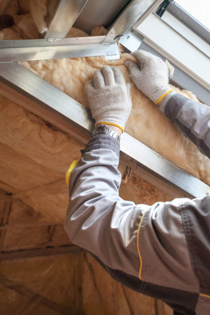 Best Crawl Space Insulation  in Ross, OH