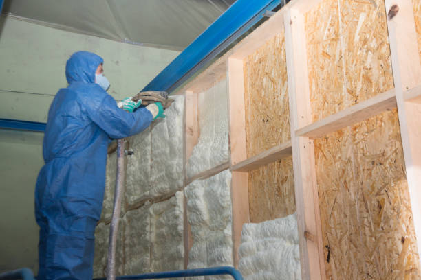 Best Energy-efficient Insulation  in Ross, OH